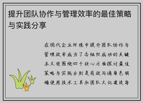 提升团队协作与管理效率的最佳策略与实践分享