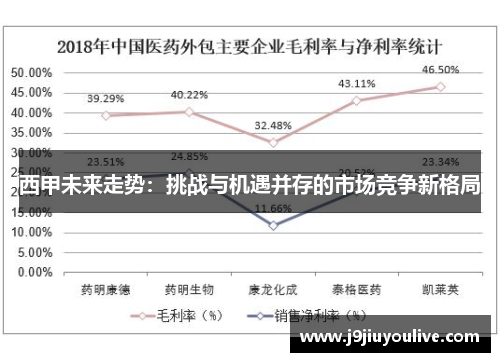 西甲未来走势：挑战与机遇并存的市场竞争新格局